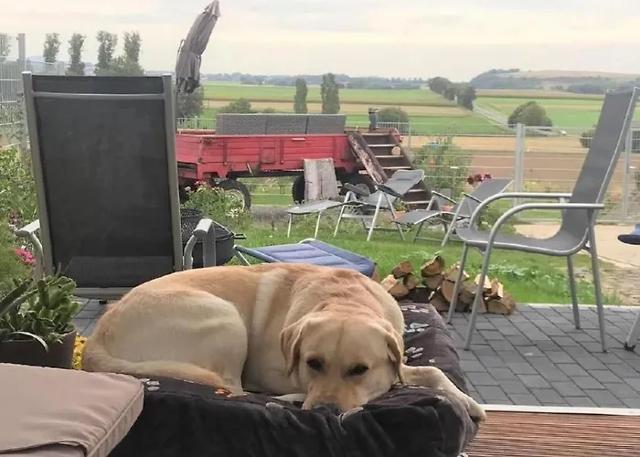 Wellness-chalet By Interhome